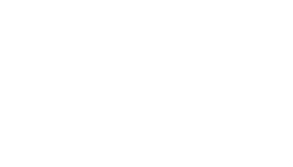 HealthCapital Logo